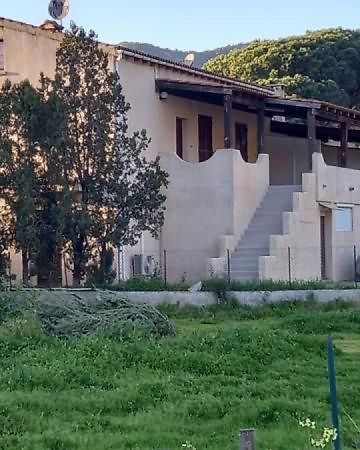 U Palmu Apartman Sagone  Kültér fotó