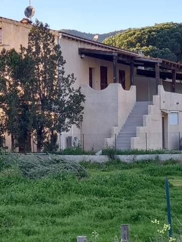 U Palmu Apartman Sagone  Kültér fotó