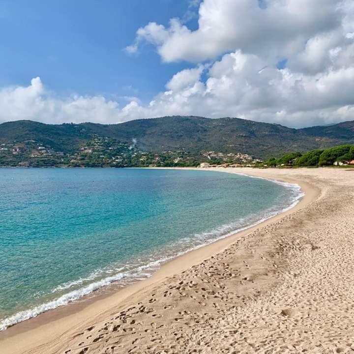 U Palmu Apartman Sagone  Kültér fotó